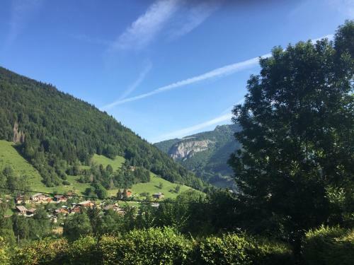 Chalet Olimon