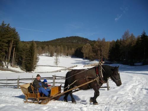 Agroturismo Schartnerhof