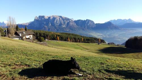 Agroturismo Schartnerhof