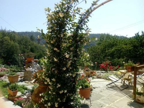 Hostal Affittacamere Graziella
