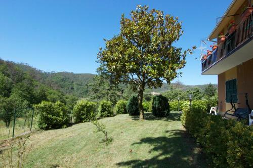 Hostal Affittacamere Graziella