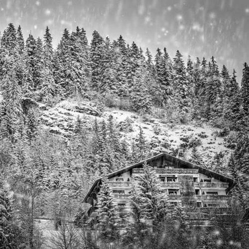 Hotel H�tel Le Grand Chalet