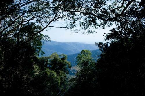 Lodge Mt Glorious Getaways
