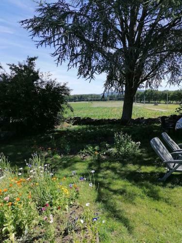G�te Belle Fleur 6 Personnes- Vosges