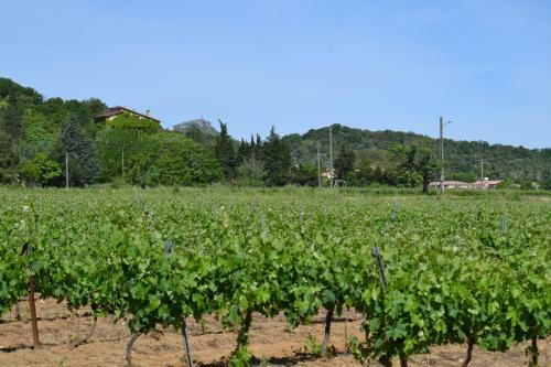 Camping Maeva Escapades Le Casque Roi