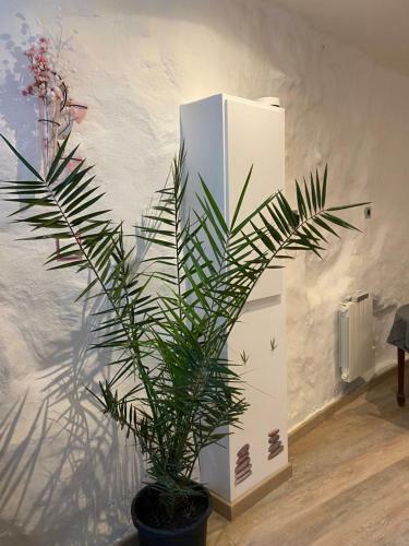 Hostal Gite Pasteur Occitanie