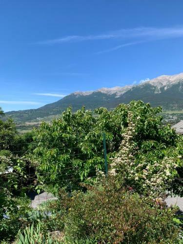 Apartamento Le Petit Soleil