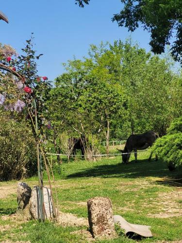 Hostal Pey Sud