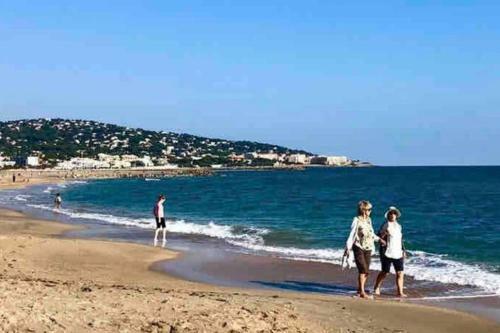 Apartamento Magnifique Studio � Sete Proche Des Plages