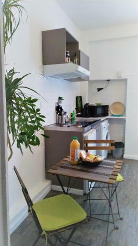 Apartamento Appartement / Jungle