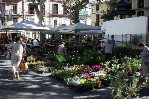 Apartamento Hidden Gem Ancr� Au C?ur De S�te & Vue Sur Mont St Clair