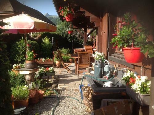 Bed & Breakfast Chalet Les Chouettes