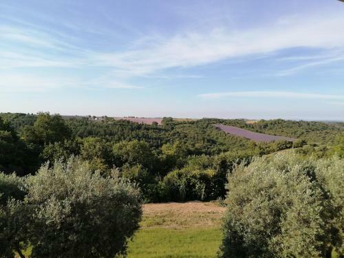 Apartamento Gites Lou Limbert