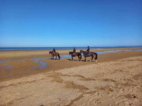Cottage Entier 6pers Plage Du Home Cabourg