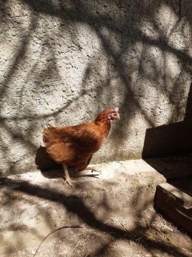 Bed & Breakfast Au Charme De L'eure