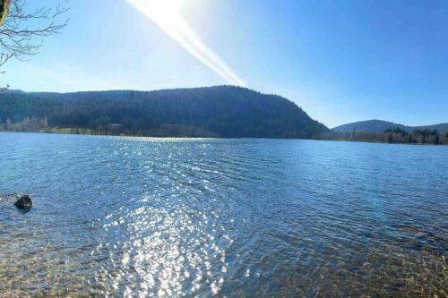Chalet Oxalys Entre Lacs Et Montagne, 10 Pers, Jacuzzi