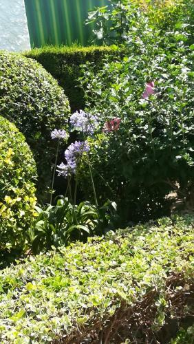 Apartamento Les Floden