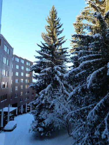Apartamento R�sidence Nova - Studio Pour 3 Personnes 19