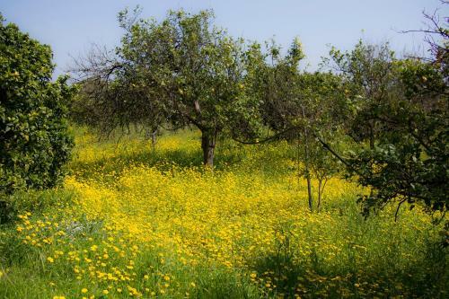 Agroturismo Il Melograno