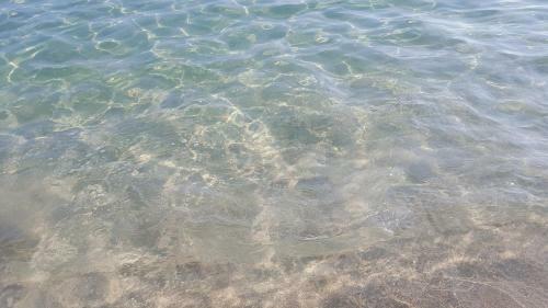 Apartamento Alloggio In Spiaggia