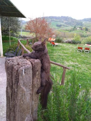Agroturismo Le Spighe Agriturismo