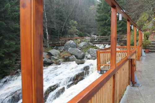 Hotel Steinerne Renne