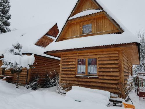 Domki Camping Harenda