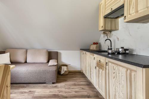 Apartamenty Villa Ski-b�wki