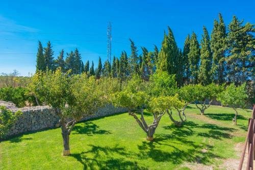 Villa Sa Vinya Des Compte