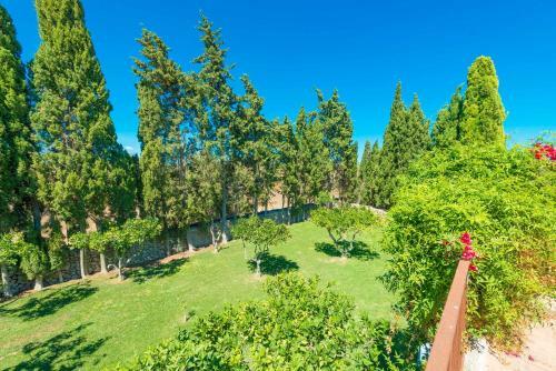 Villa Sa Vinya Des Compte