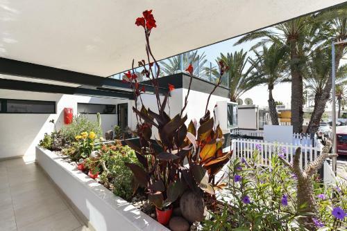 Maspalomas Beach Apartment Charca 1