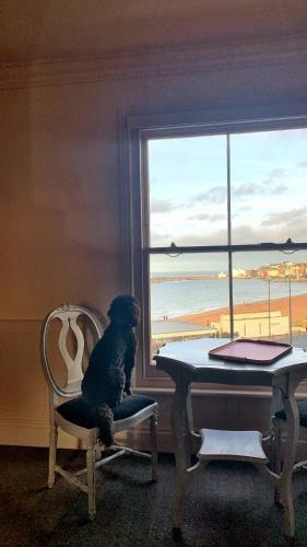 Bed & Breakfast The Pink House Margate