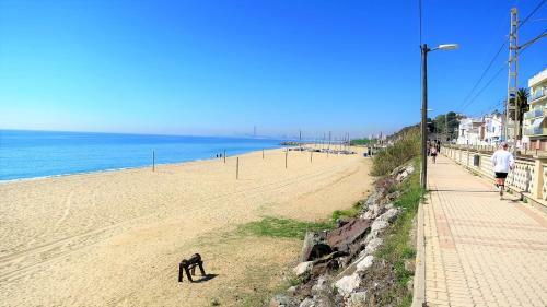 Bianca Seaview & Beach Apartment