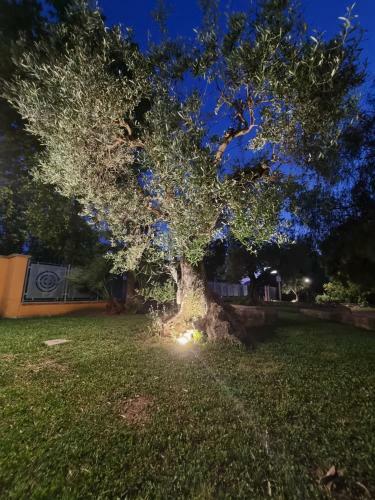 B&B La Noce