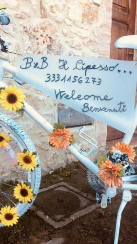 B&B Il Cipresso