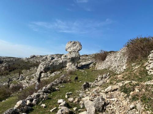 Bed & Breakfast Al Dolmen