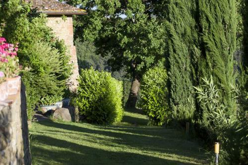 Apartamento Ventena Vecchia Antico Frantoio