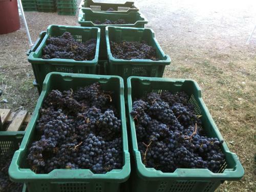 Agroturismo La Banditaccia