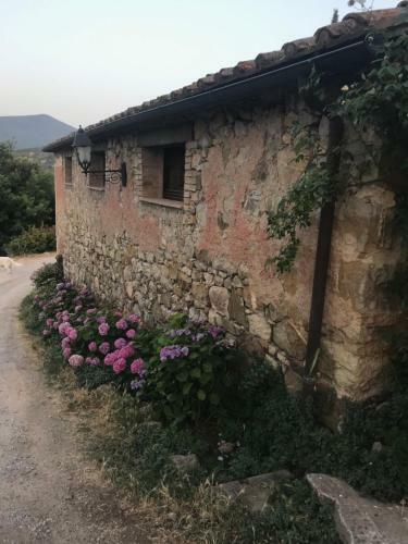 Agroturismo La Banditaccia