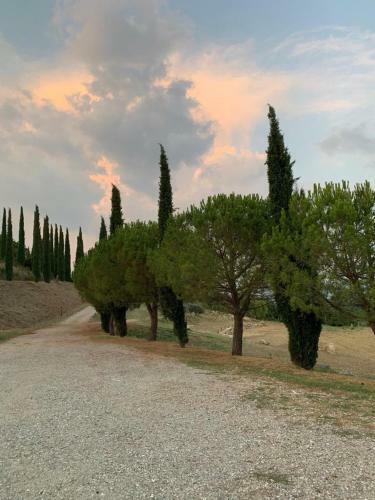 Agroturismo La Banditaccia