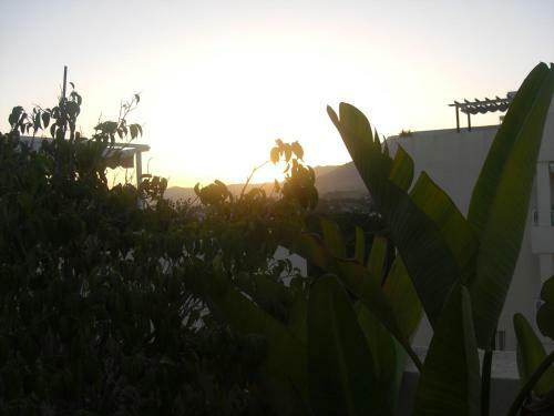Apartamento Penthouse Arenal Playa