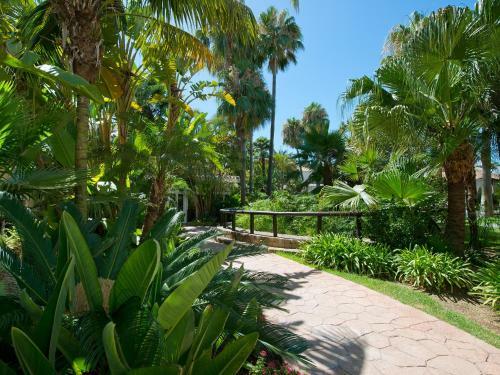 Hotel Bluebay Ban�s