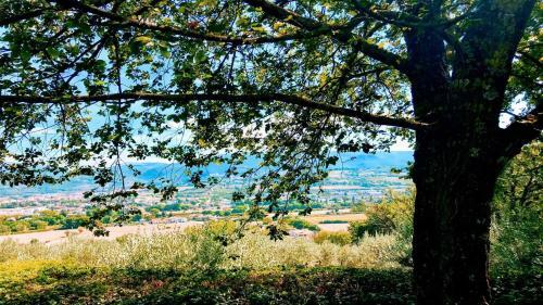Villa Spoleto Tranquilita/pool/slps 20/spoleto 15 Mins