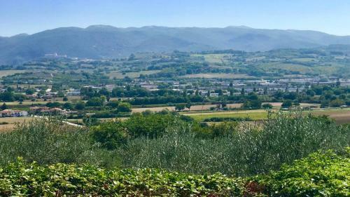 Villa Spoleto Tranquilita/pool/slps 20/spoleto 15 Mins