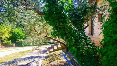 Villa Spoleto Tranquilita/pool/slps 20/spoleto 15 Mins