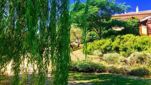 Villa Spoleto Tranquilita/pool/slps 20/spoleto 15 Mins