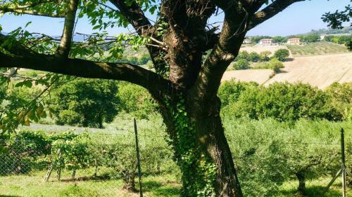 Villa Spoleto Tranquilita/pool/slps 20/spoleto 15 Mins