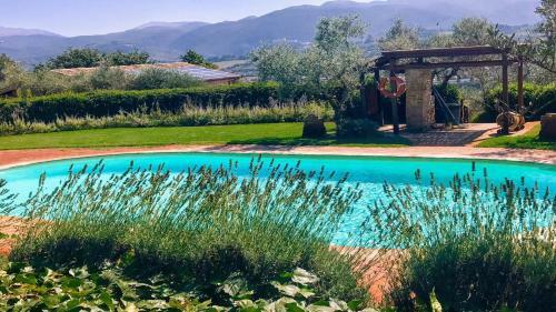 Villa Spoleto Tranquilita/pool/slps 20/spoleto 15 Mins