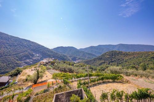 Paulotti Antico Borgo Homes