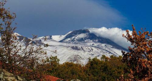 B&B Polifemo Etna